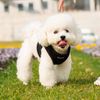 Mr. Peanut's PupTrek Small Dog/Cat Soft Mesh Step in Harness Vest (Large, Red)