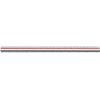 Esco EA762AC-7 11.8 inches (300 mm) Triangular Scale (For Civil Engineering)