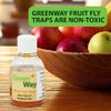 GreenWay Fruit Fly Trap Non-Toxic, Ready-to-Use, Long-Lasting