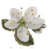 Iris Flower Blackthorn Embroidered Iron on/Sew Patch [ 6.77 "(w) x 5.86"(h) ]