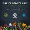 Prescribed for Life Ionic Trace Mineral Complex | Over 72 Naturally Occurring Ionic Alkalizing Minerals | 16% Ionic Mg (12oz / 340g)