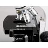 AmScope T360B LED Trinocular Biological Compound Microscope 40X-2000X