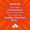 Align Probiotic Supplement 42 Caps
