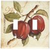 Art Plates - Apples Switch Plate - Double Toggle