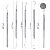 Dental Tools Set - Professional Stainless Steel Krisp Beauty 5 Pc Dental Pick Tartar Remover Plaque Scraper Probe Scaler Mouth Mirror Oral Hygiene Care Dentist Teeth Cleaning Kit for Adults