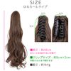 Brightlele f104-RTF Wig, Ponytail, Long, Natural Clip, Gradient Ponytail Wig