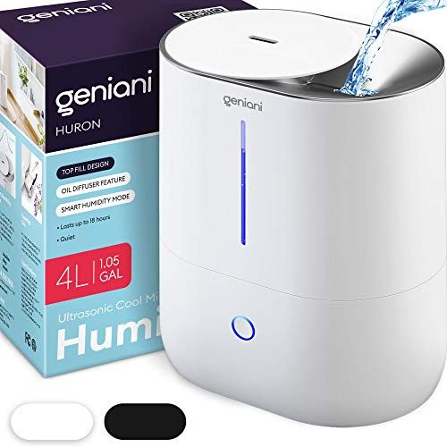 GENIANI Portable Small Cool Mist Humidifiers 250ML - USB Desktop Humidifier for Plants, Office, Car, Baby Room with Auto Shut Off & Night Light - Quiet Mini Humidifier (White)