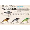 Rebel Raider - Silver Flash/Black, 1 5/8-Inch