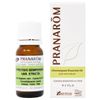 Cypress 0.3 fl oz (10 ml) Pranarom Essential Oil Tree Type Middle Notebook