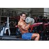 MSM 1000mg - Anti-Inflammatory - Maintain Healthy Joints - Cartilage Function