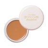 Shiseido S102 Spots Cover, Foundation (Base Color), 0.7 oz (20 g)