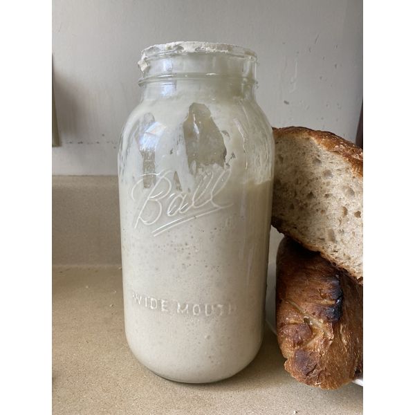 Ultra-Active Fresh Sourdough Starter - Boost Your Baking To The Next Level!