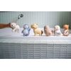 Arctic Squirrel Organic Natural Rubber Teether, Rattle & Bath Toy