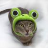 Dog Cat Cosplay Frog to choose from (Hat)