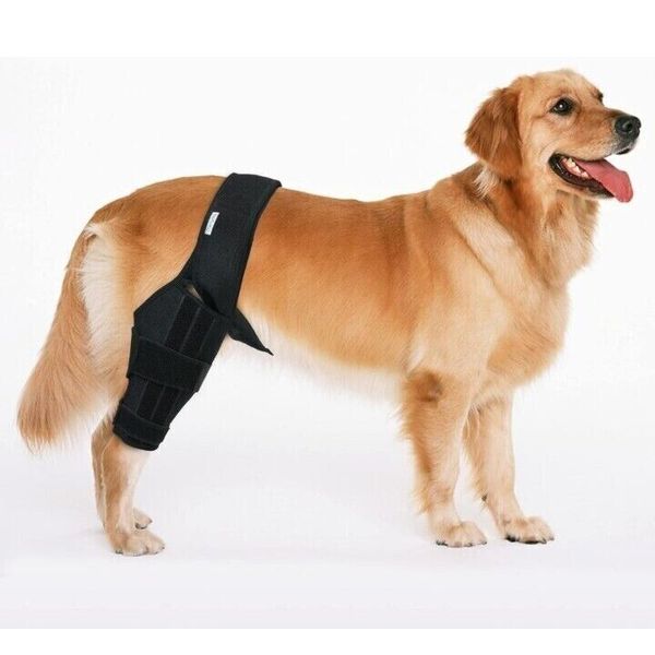 Merrymilo Dog Knee Brace Dog ACL Brace Hind Leg or Rear Leg CCL Brace Hind Large