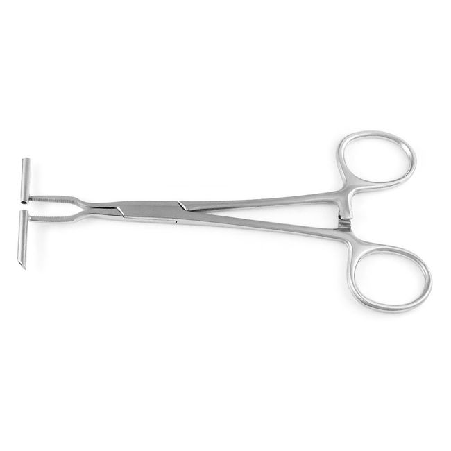 Straight Line Septum Forceps 6 inch Piercing Tool