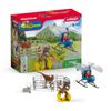 Schleich Dino Helicopter Rescue