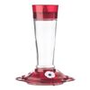 More Birds Bird Health+ Ruby Hummingbird Feeder 10 oz.
