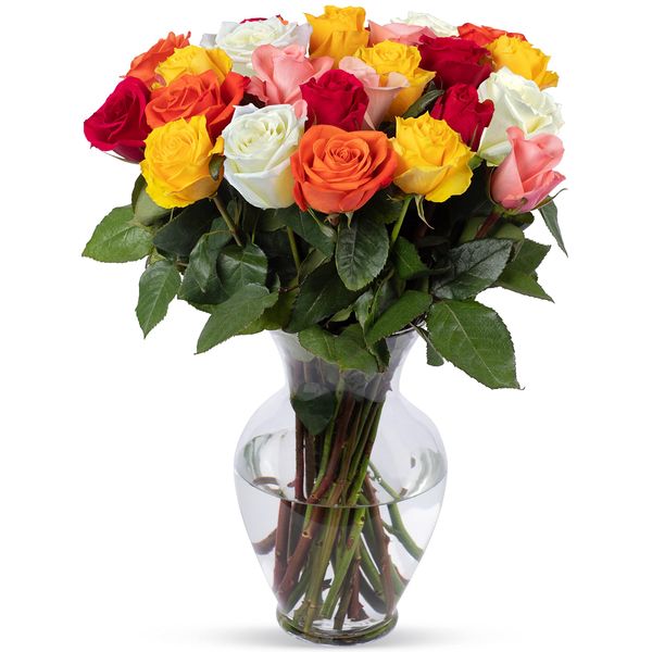 Benchmark Bouquets 24 stem Rainbow Roses, Next Day Prime Delivery, Fresh Cut Flowers, Gift for Anniversary, Birthday, Congratulations, Get Well, Home Decor, Sympathy, Easter, Mother's Day