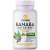 500 Capsules BANABA Leaf Extract 5000mg Corosolic Acid 3.8mg Lagerstroemia