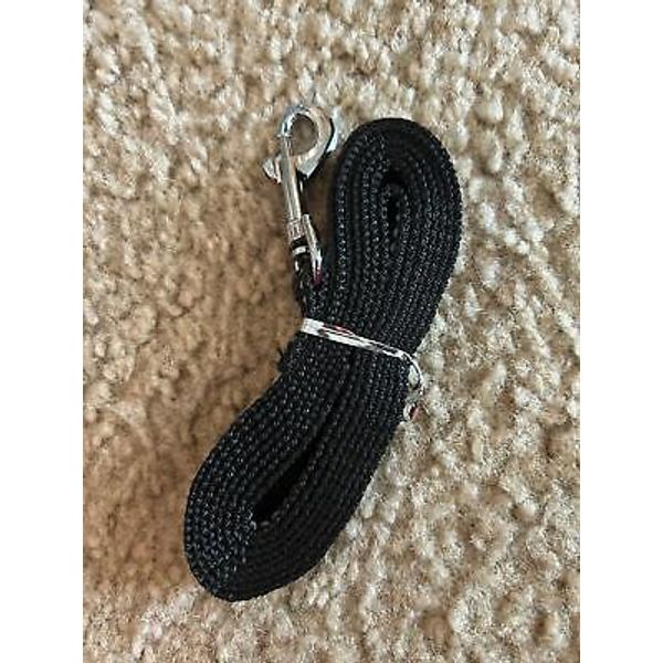 Pet dog cat leash