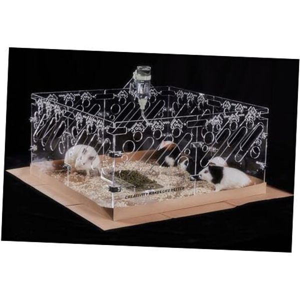 Acrylic Guinea Pig Cages - 2x2ft Small Animal Cage | DIY Extendable | 2x2 ft