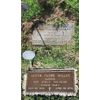 Bronze Headstone Plaque Restoration