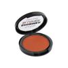 TECHNIC SHIMMER BLUSHER INDIAN SUMMER