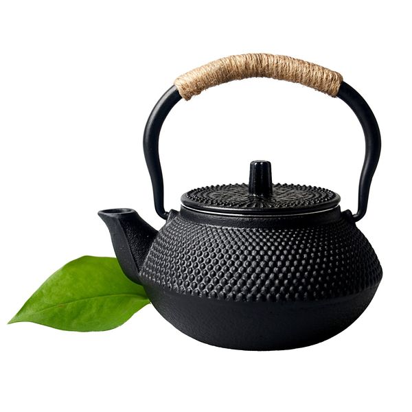 Iron, Tetsubin Arare, Iron Supplement, Teapot, For Both Tetsubin Use, Iron Bottle, Direct Fire, Compatible with Induction Cookers, Tea Strainer, Stylish, Tea Pot, Traditional Crafts, 0.3 L