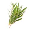 Tea Tree Lemon Scented 100ml Incent Essential Oil Essential Oil