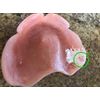 Denture Sore Spot Find And Remove Kit