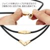 colantotte necklace alt