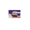 Lion Pet Kiss Dental Brush, Regular