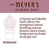 Mrs Meyer's, Liquid Dish Soap Rosemary, 16 Fl Oz