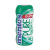 Mentos Bottle Spearmint 30g x 10