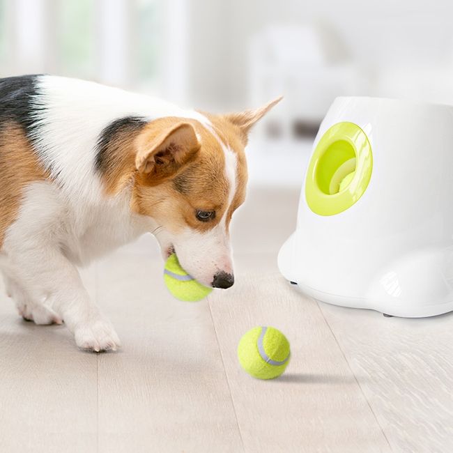 Automatic Dog Tennis Ball Throwing Launcher Mini Machine Toy Pet Training 3  Ball