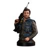 Diamond Select Star Wars Rogue One Cassian Andor 1/6 Scale Bust