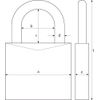 ABUS 26417 Brass Padlock with 7561 Reversible Alike Keyed