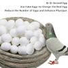 JVHLOV 20x Solid Plastic Dummy Fake Eggs, Dummy Eggs Dove, Simulation Bird Egg Bird Breeding Tool