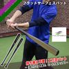 FFSB-8070 Flat Surface Bat for Schoolchildren, No Changing, Double Blade Bat FIELDFORCE Field Force