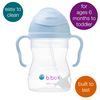 b.Box Learning Cup with Weighted Straw Bubblegum (Light Blue) 6+ Months 1 Unit