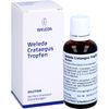 Weleda Crataegus Tropfen, 50 ml MIS