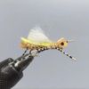 One Dozen (12) - White Cloud Hopper - Peach - Terrestrial 12