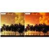 40.5 mm Professional Gradient Colour Filter Red Colour Filter Graduated 40.5 mm dHD Digital Grot