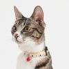 Petio Cat Collar Cat Collar, Yellow
