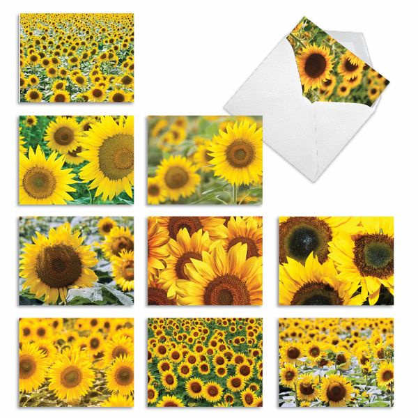 The Best Card Company 10 Assorted Thank You Notecards Bulk Box Set 4 x 5.12 Inch with Envelopes (10 Designs, 1 Each) SUNNY SIDE UP: 10 Assorted Thank You Note Cards w/Matching Envelopes. M6065