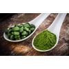 immune restore - STEM CELL ACTIVATOR - blue green algae organic powder 2B