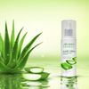 Jovees Aloe Vera Moisturising Lotion - 100 Ml