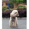 THAIN Reflective Dog Harness & Leash Set – No-Pull Design, Adjustable & Comfortable for Small Dogs (S, Yellow Plaid)