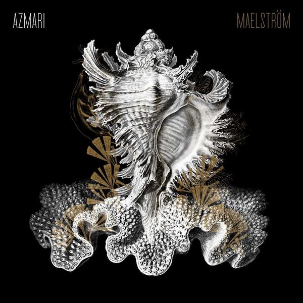 MAELSTROM [VINYL]